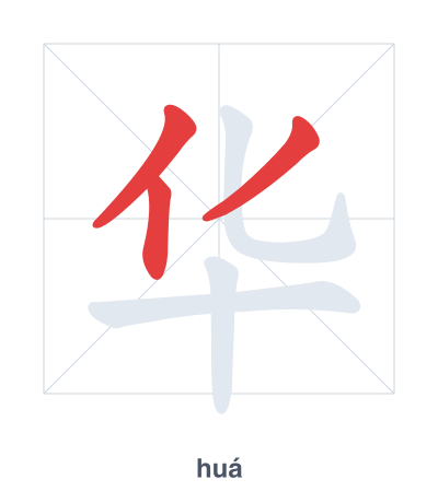 Stroke order practice for 华 - huá
