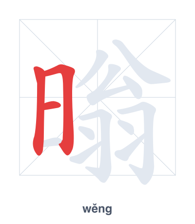 Stroke order practice for 暡 - wěng