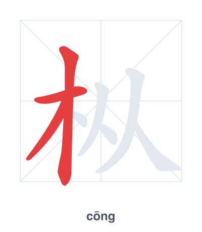 Stroke order practice for 枞 - cōng