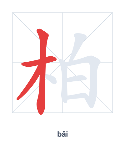 Stroke order practice for 柏 - bǎi