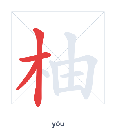 Stroke order practice for 柚 - yóu