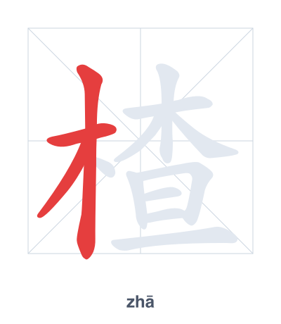 Stroke order practice for 楂 - zhā