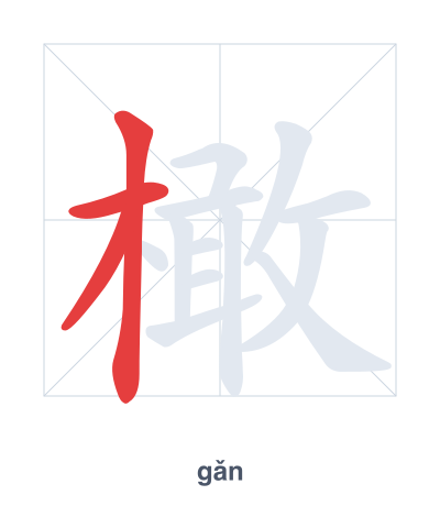 Stroke order practice for 橄 - gǎn