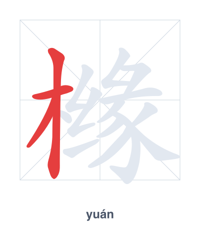 Stroke order practice for 橼 - yuán