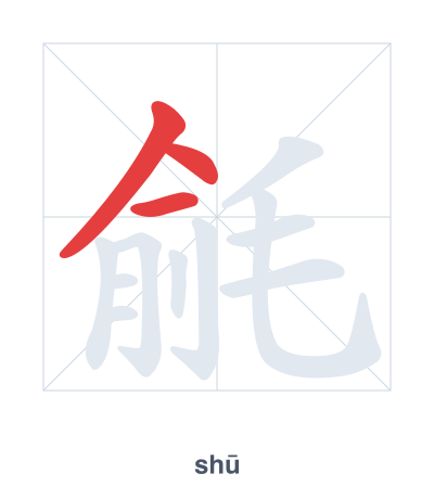 Stroke order practice for 毹 - shū