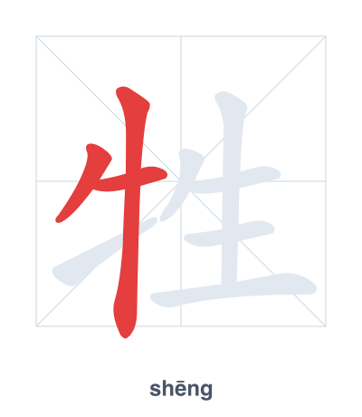 Stroke order practice for 牲 - shēng