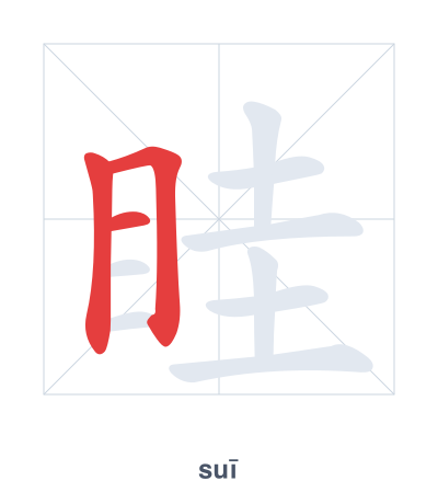 Stroke order practice for 眭 - suī