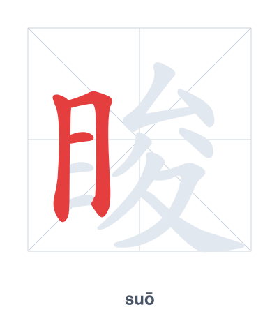 Stroke order practice for 睃 - suō