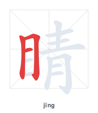 Stroke order practice for 睛 - jīng