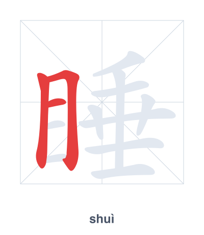 Stroke order practice for 睡 - shuì