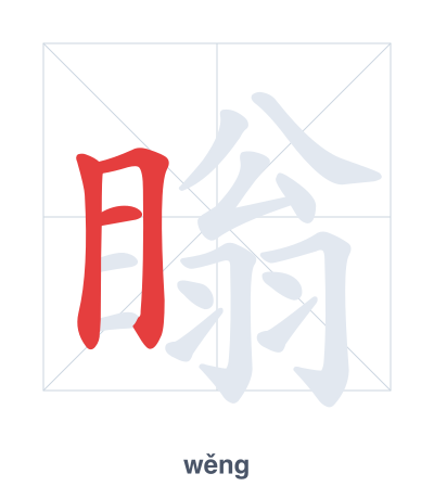 Stroke order practice for 瞈 - wěng