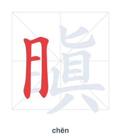 Stroke order practice for 瞋 - chēn