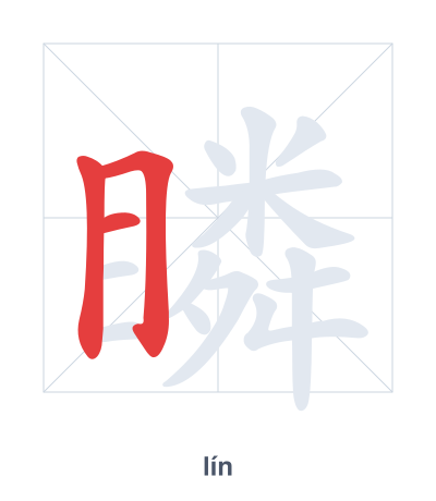 Stroke order practice for 瞵 - lín
