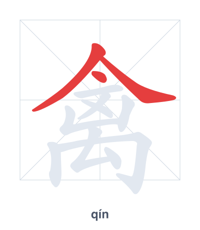 Stroke order practice for 禽 - qín