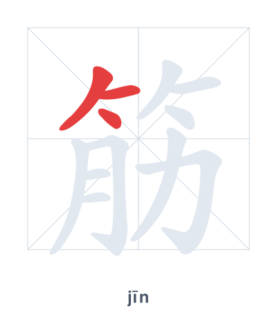 Stroke order practice for 筋 - jīn