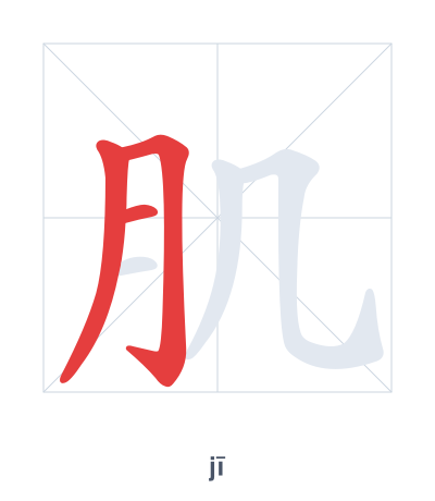 Stroke order practice for 肌 - jī
