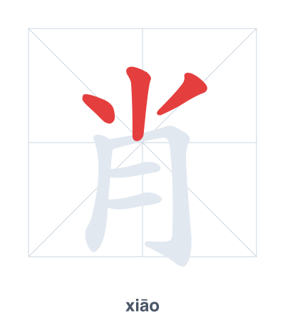Stroke order practice for 肖 - xiāo