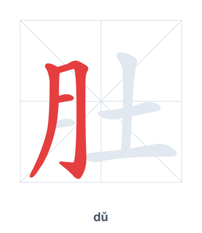 Stroke order practice for 肚 - dǔ