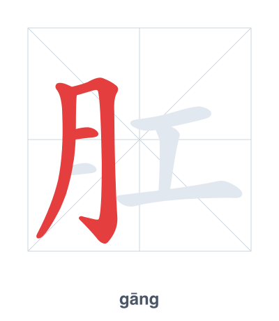 Stroke order practice for 肛 - gāng