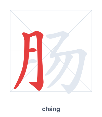 Stroke order practice for 肠 - cháng