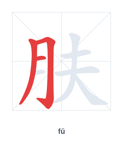 Stroke order practice for 肤 - fū