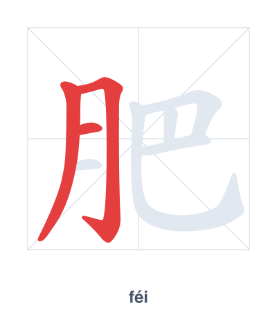 Stroke order practice for 肥 - féi