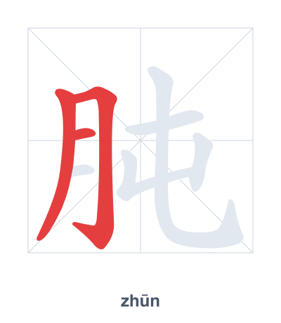 Stroke order practice for 肫 - zhūn