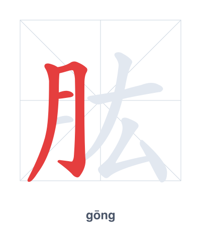 Stroke order practice for 肱 - gōng
