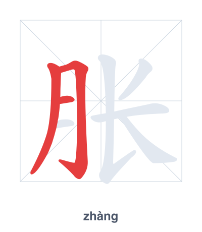 Stroke order practice for 胀 - zhàng