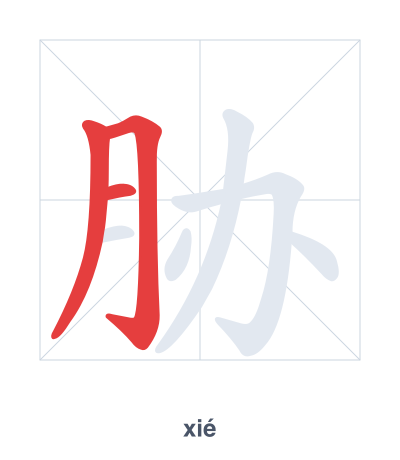 Stroke order practice for 胁 - xié