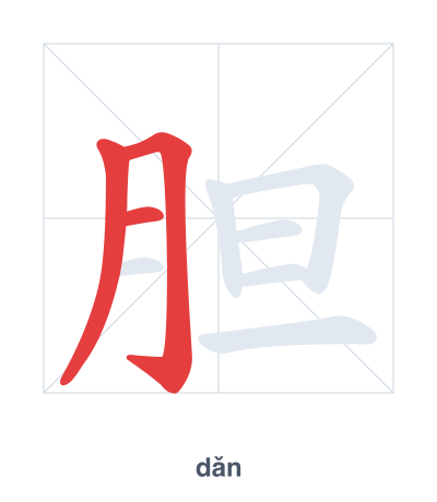 Stroke order practice for 胆 - dǎn