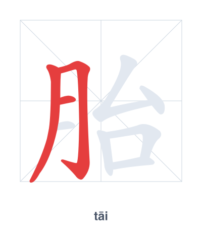 Stroke order practice for 胎 - tāi