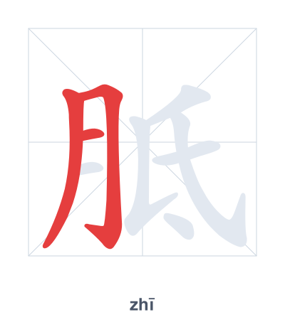Stroke order practice for 胝 - zhī