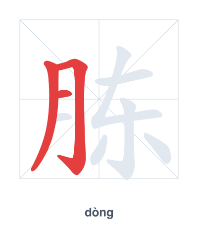 Stroke order practice for 胨 - dòng