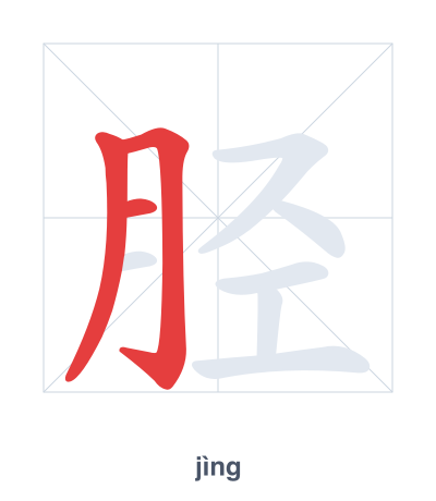 Stroke order practice for 胫 - jìng
