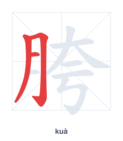 Stroke order practice for 胯 - kuà