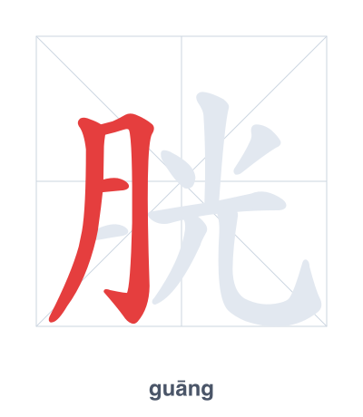 Stroke order practice for 胱 - guāng