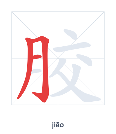 Stroke order practice for 胶 - jiāo