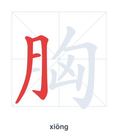Stroke order practice for 胸 - xiōng