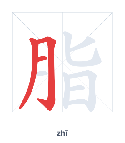 Stroke order practice for 脂 - zhī