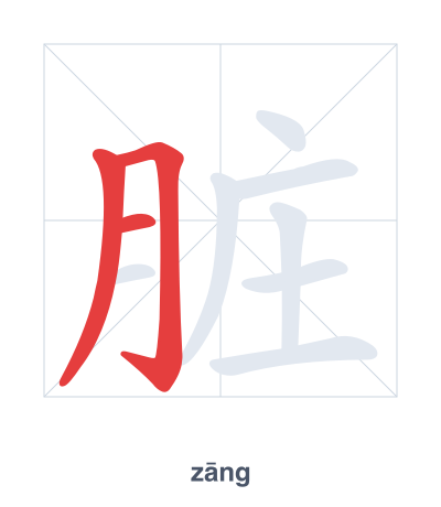 Stroke order practice for 脏 - zāng