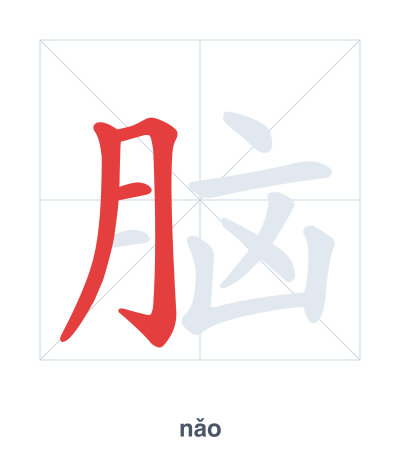 Stroke order practice for 脑 - nǎo