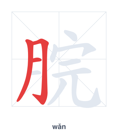Stroke order practice for 脘 - wǎn