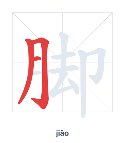 Stroke order practice for 脚 - jiǎo
