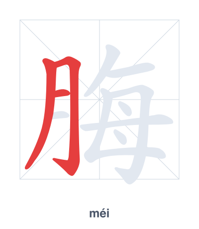 Stroke order practice for 脢 - méi