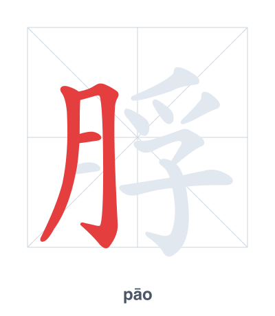 Stroke order practice for 脬 - pāo