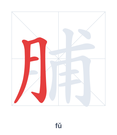 Stroke order practice for 脯 - fǔ