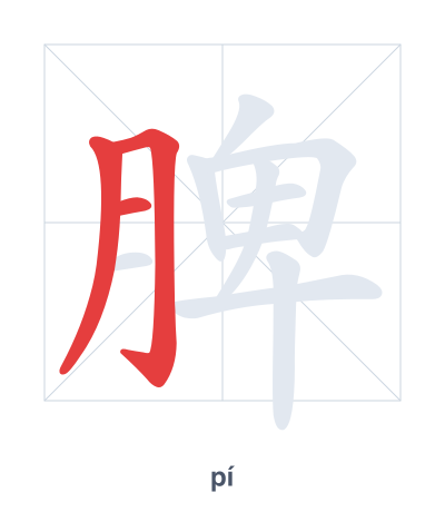 Stroke order practice for 脾 - pí