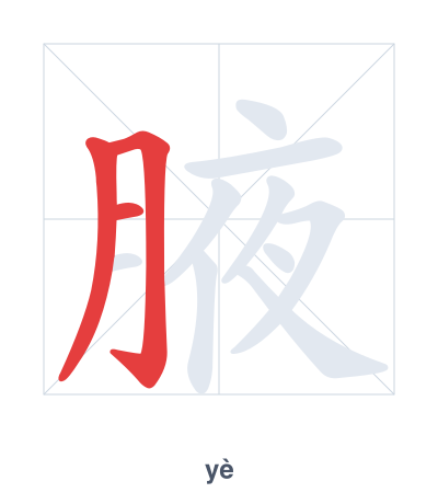 Stroke order practice for 腋 - yè