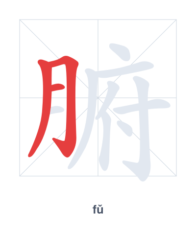 Stroke order practice for 腑 - fǔ
